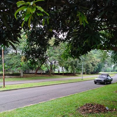 widieko1988's profile picture. s.a.b.a.r