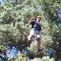 Andre Gill (@andre_bytes) 's Twitter Profile
