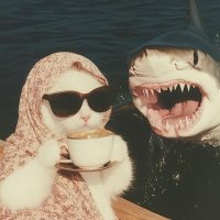 maee (@maeebuffay) 's Twitter Profile