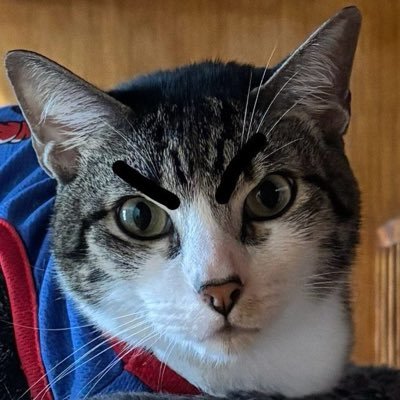 MichaelaJanzen's profile picture. 