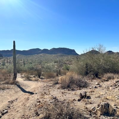 JQsilver000's profile picture. 