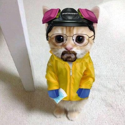 abodul1's profile picture. 