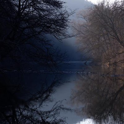 viewportriver's profile picture. 