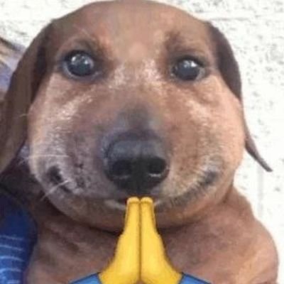 IamGoatFather's profile picture. Credit chor