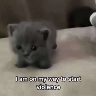 Ohhhhh no. EBM. Folle aux chats auto diag. Se fait bully par la dame du ciné 1 à 3x/sem SB QSP 6 mois AR 1x. Vie hate account.