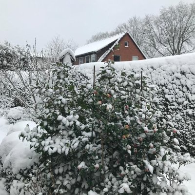 glseruz's profile picture. 
