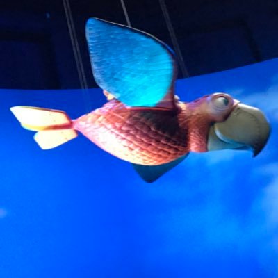 yn55068888's profile picture. 