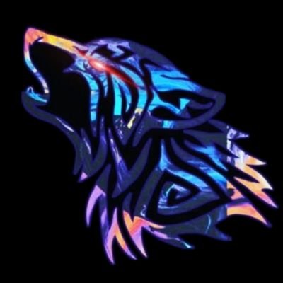 VexamTheWolf's profile picture. Forex,Crypto,Saham