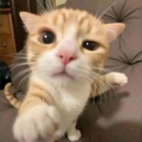 itjustme (@itjustme_il) 's Twitter Profile