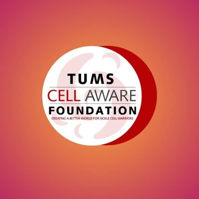 mayungbetunmise's profile picture. “A world where sickle cell warriors are heard, healed, and free from stigma.”
We dream of a society where sickle cell warriors live in comfort, dignity.