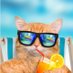Peggy Fly (@drpepperfrog1) Twitter profile photo Peggy Fly (@drpepperfrog1) Twitter profile photo