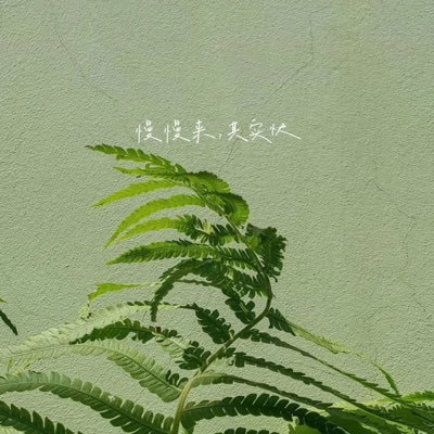 chan_berni66875's profile picture. 