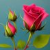 RANA SOHAIL (@ranasohail94884) Twitter profile photo RANA SOHAIL (@ranasohail94884) Twitter profile photo