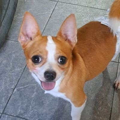 myypetrayg's profile picture. ಠ‿ಠ

𝘣𝖾𝘭𝘭𝘰 melly ꒰🛼•₊˚🌐 ˎˊ˗𓏔
@BTS_twt  𓈈 🥣🚦 ˖ֹ ◍