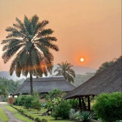 thecreatorib's profile picture. 