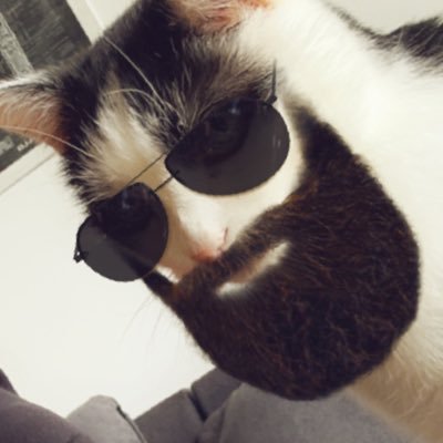 cK8787ck's profile picture. 👻