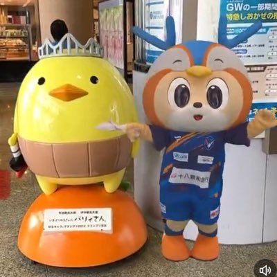 Naonaokai8's profile picture. 