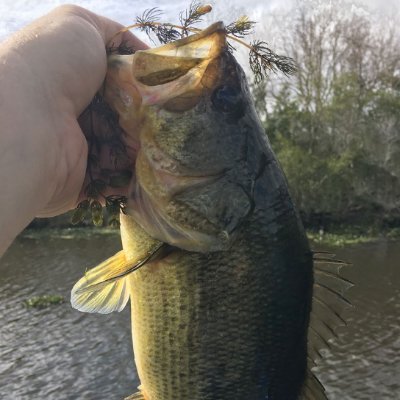 Briansfish1's profile picture. Fit married couple
Husband 50   Wife 41