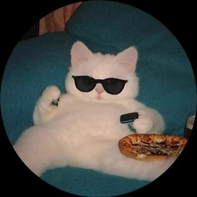 Discord: yxtta | Streamer | CWL MVP | 5.200+ War Stars