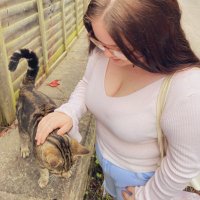 Lily Pearce (@lily_pearce) 's Twitter Profile