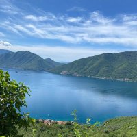 Talip Eroglu (@talipemreeroglu) 's Twitter Profile