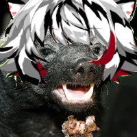 Melli_Capen Vtuber Tejón (@capenmelli) 's Twitter Profile