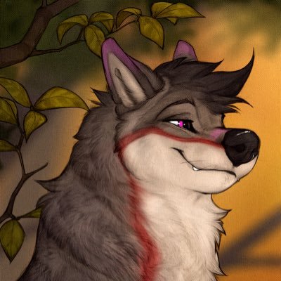 Timber the Folfさんのプロフィール画像