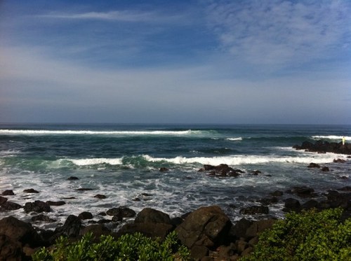 dondiamond1's profile picture. cash cars under 2995