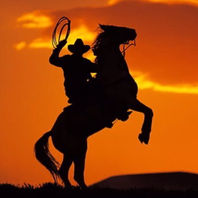 Withor44's profile picture. Crypto trader | Hardworking for my dreams | ₿itcoin maxi ready for Alt/Memecoinsupercycle.
