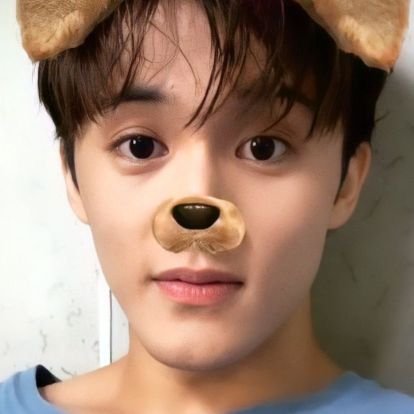 nctzen, directioner, arinator y todos los males de este mundo