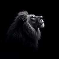 Roomba (@roomba89) 's Twitter Profile Photo