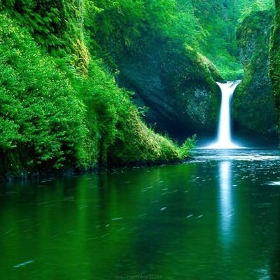 Affnado's profile picture. 