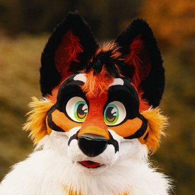 Comet ๐ Megaplex Profile