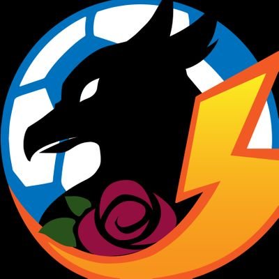 Association Inazuma Eleven réunissant toute la communauté française 🌹🌩
- @azalee_ie 🌸 - @achillea_ie 💮