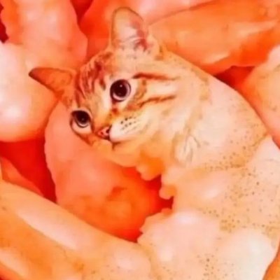 guidragoni37197's profile picture. meio esquisito