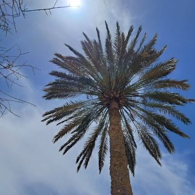 EI6XIikh1dWx2Rr's profile picture. 