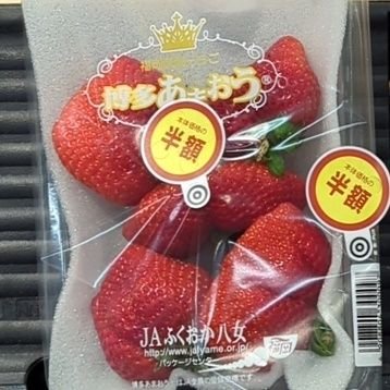 毎日それなり