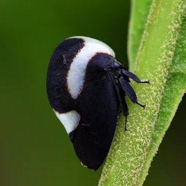 aarikkemm's profile picture. 