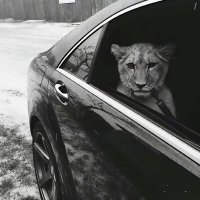 جون (@piotr7373) 's Twitter Profile