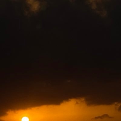 draref25's profile picture. 