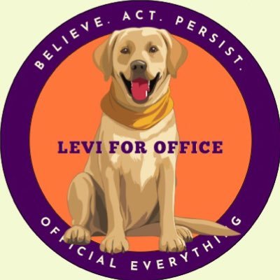 LeviforOffice@bskyさんのプロフィール画像