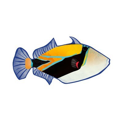 MauiReefs808's profile picture. Protecting Maui's marine environment through research, restoration, and land-based initiatives from mauka (the mountains) to makai (the ocean).