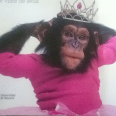 gramswheelchair's profile picture. 