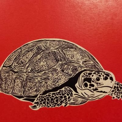 Psicóloga, UExternado.
Esp, Ps Social, UEB.
Mg, Estudios Culturales,UNACH,Mex.
Doctora en Ps. Social,UBarcelona.
Opiniones personales🐚🦀