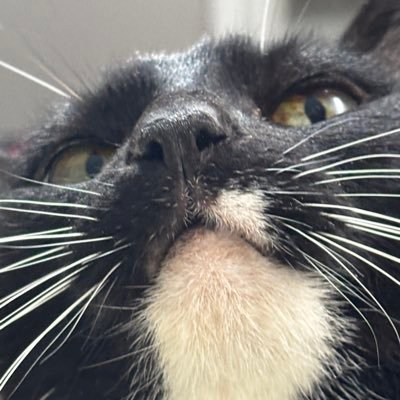 k1ngavaaa's profile picture. 20 🌈🌲