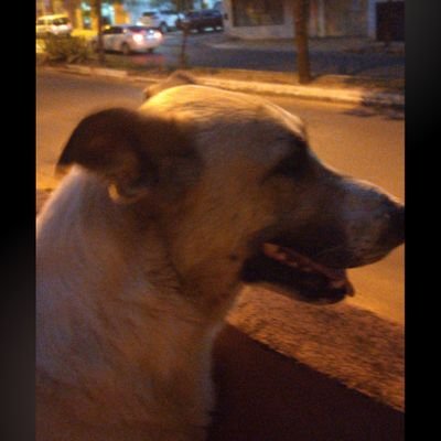 becho2000's profile picture. Acciones y no palabras