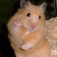 퓨리puri (@puri_yda) 's Twitter Profile Photo