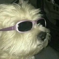 ramoderosas__'s profile picture. amor a ti