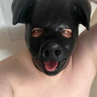 new pig into practically everything. join me in my kink adventures.