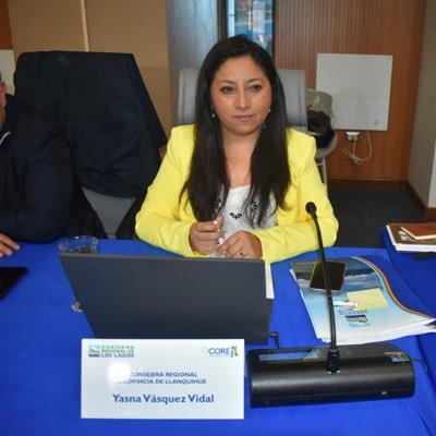 CORE , por la Provincia de Llanquihue, Región de los Lagos. periodos 2025-2028